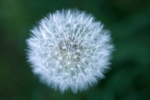 科学がつきとめた「運のいい人」
